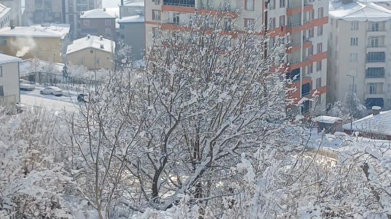 Kulp ilçesi üç günlük kar yağışının ardından beyaz örtüyle kaplandı