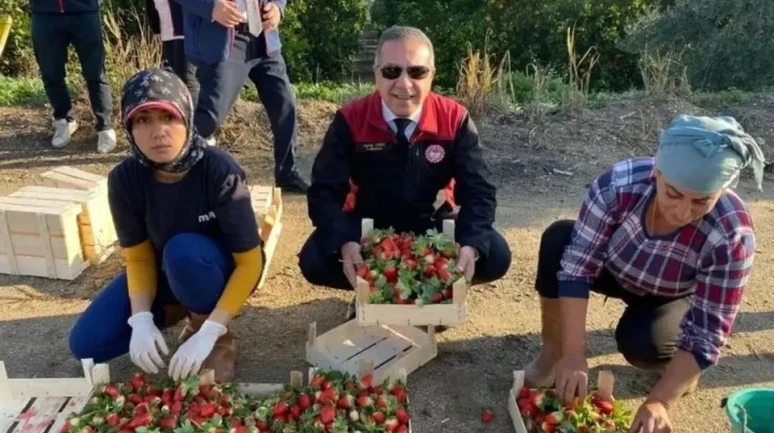 aydın'da 2025 yılında 3 bin 600'ü aşkın tarımsal denetim yapıldı