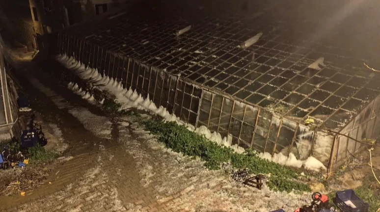 Bozyazı’da şiddetli dolu yağışı tarım alanlarına zarar verdi