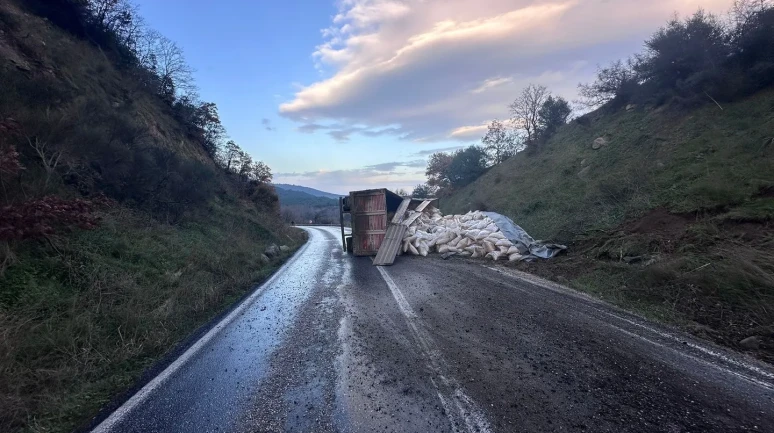 Gönen-Denizkent yolunda devrilen kamyon yolu kapatırken itfaiye çalışma başlattı