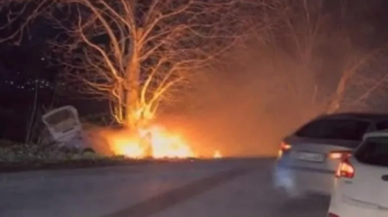 Bursa’da kontrolden çıkan otomobil ağaca çarptıktan sonra alev aldı