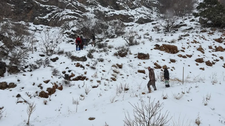 Kemaliye’de yaban hayvanları için yemleme faaliyeti gerçekleştirildi