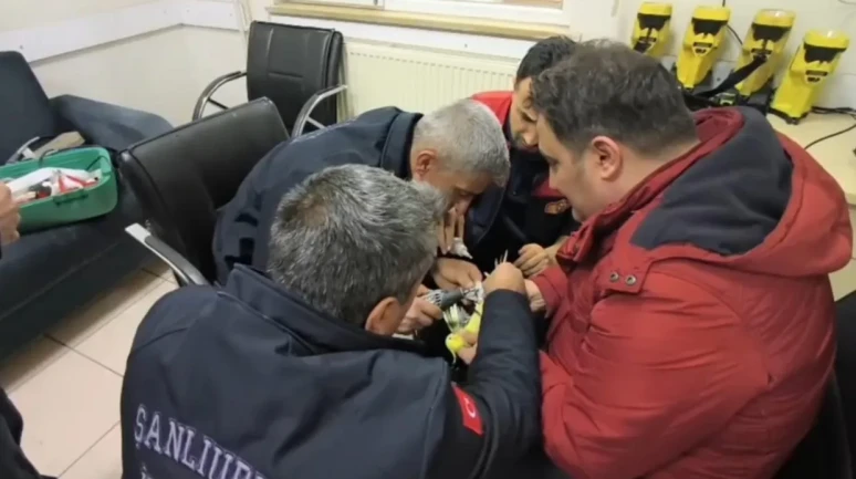 Şanlıurfa'da papağanın ayağına sıkışan halhal itfaiye ekiplerince çıkarıldı