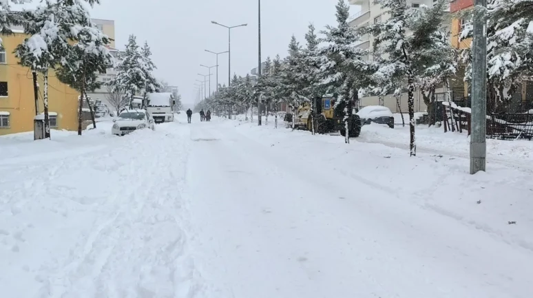 dicle'de yoğun kar yağışı hayatı olumsuz etkiledi