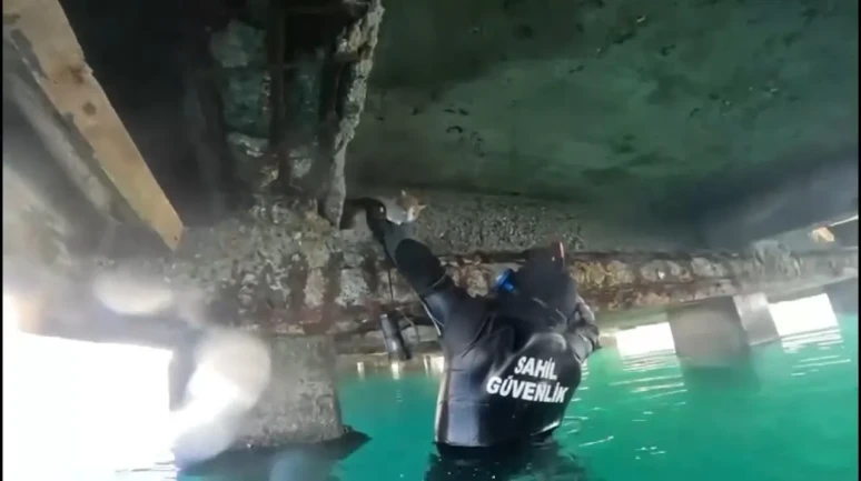 Balıkesir’de mahsur kalan kedi sahil güvenlik tarafından kurtarıldı