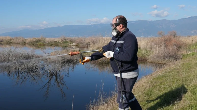 Balıkesir'de haşereyle mücadele çalışmaları 20 ilçede aralıksız sürüyor