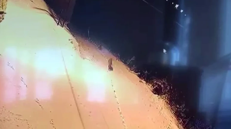 Sivas’ın Gürün ilçesinde aç kalan kurt sürüsü şehir merkezine indi