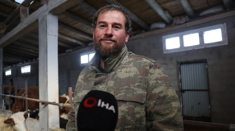 Adana'nın Feke ilçesinde kurt saldırıları nedeniyle hayvancılık yapılamaz hale geldi