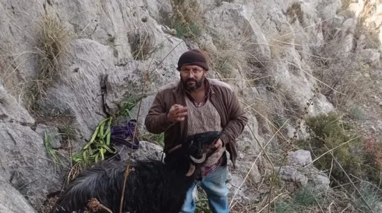 Burdur'da dağda mahsur kalan gebe keçi AFAD tarafından kurtarıldı