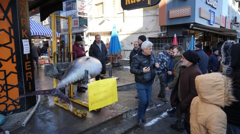 Erzincan'da Atlantik Okyanusu'ndan gelen 365 kiloluk dev orkinos tezgâhta sergilendi