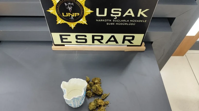 Uşak'ta uyuşturucu operasyonunda 4 bin 577 kullanımlık sentetik bonzai ele geçirildi