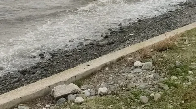 Yalova'da kontrolden çıkan pikap denize uçtu, 1 kişi hafif yaralandı