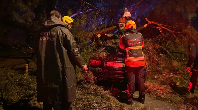 Aydın'da şiddetli yağmurla devrilen ağaç otomobilin üzerine düştü, 2 yaralı