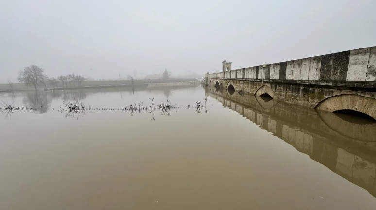 Edirne'de Meriç ve Tunca nehirlerinin taşkın suları tarım arazilerini ve yerleşim alanlarını etkilemeye