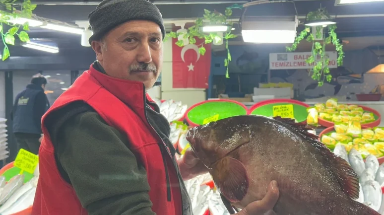 Sivas’ta 7.5 kiloluk dev orfoz balığı tezgahta satışa sunuldu