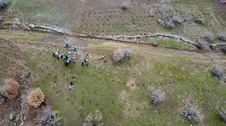 Batman'da 45 doğasever 3 bin meşe palamudu ve 8 kilo badem çekirdeğini toprakla