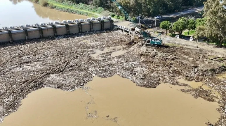 Büyük Menderes Nehri'ndeki rüsubat temizliği için Söke Regülatörü'nde çalışma başladı