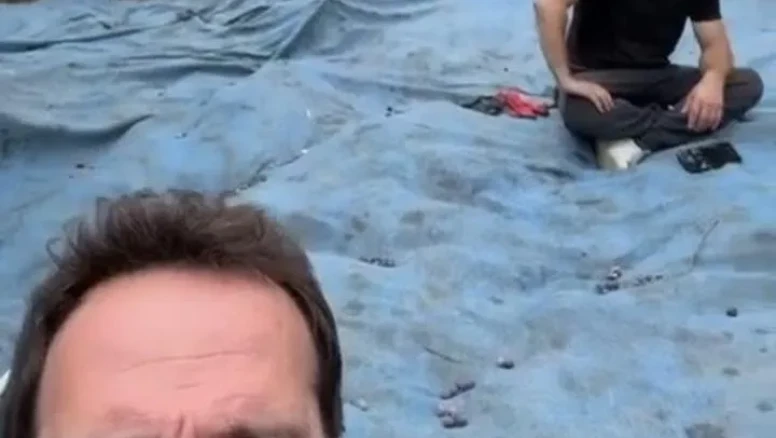 Timur Acar İznik'teki zeytinliğinde ilk hasadını yaptı